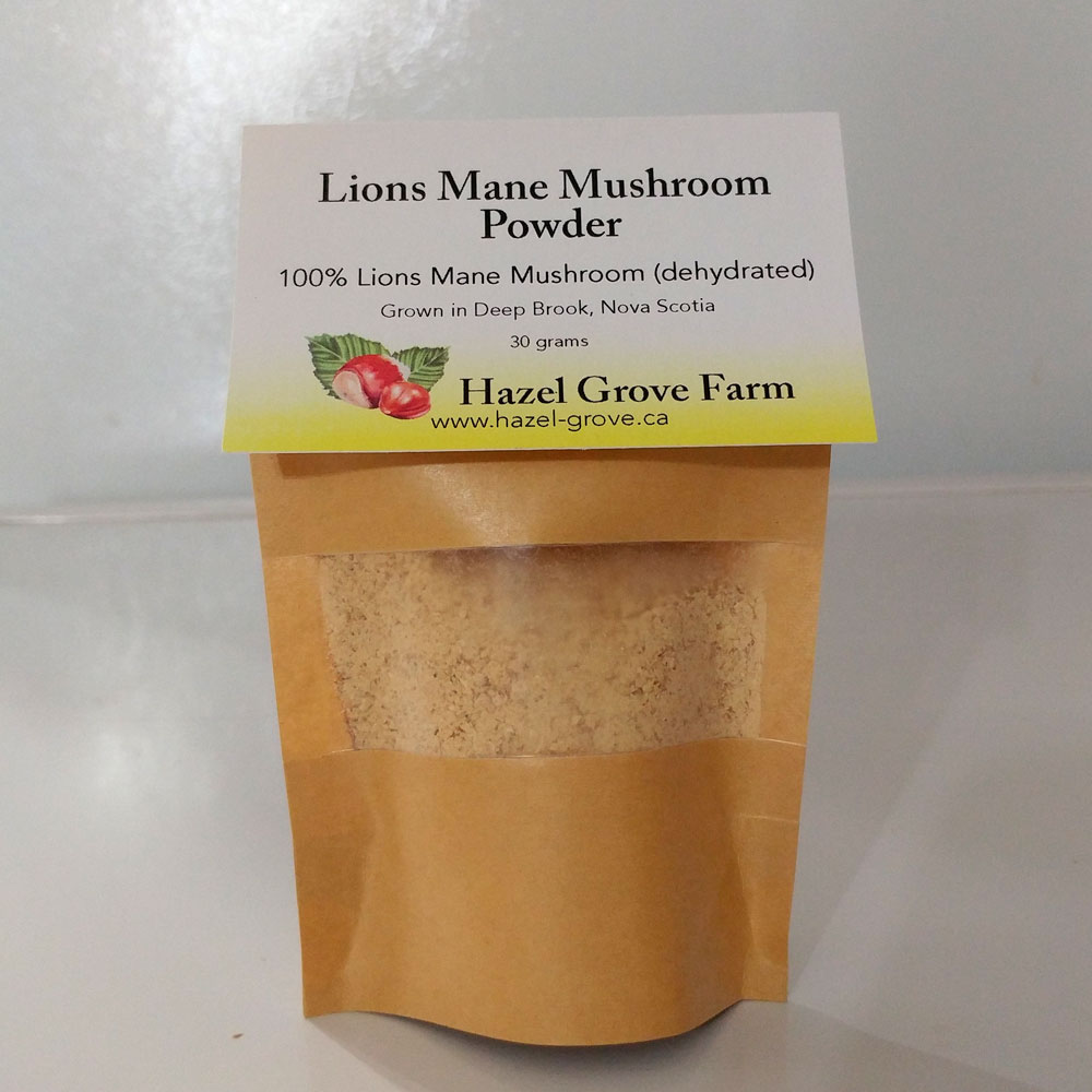 Dried Lion's Mane Mushroom Powder